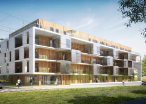 Créature Architectes - Construction de 49 logements collectifs et de 5 maisons individuelles groupées  - Saint-Jean-de-Braye  - 45